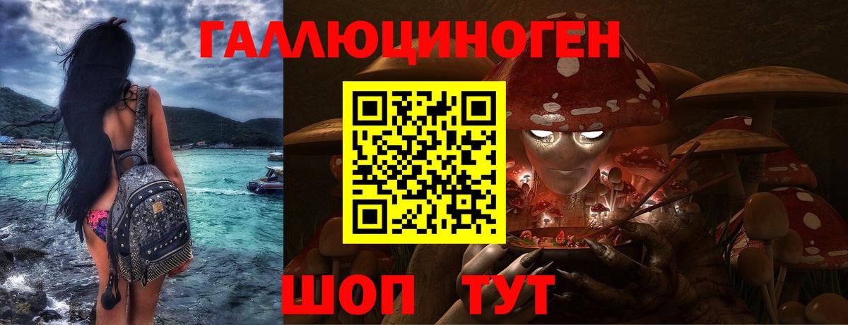 Галлюциногенные грибы Psilocybe  Вход с VPN  Пугачёв 